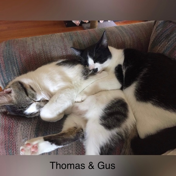 Please read 💚 - Picture 7 of 14